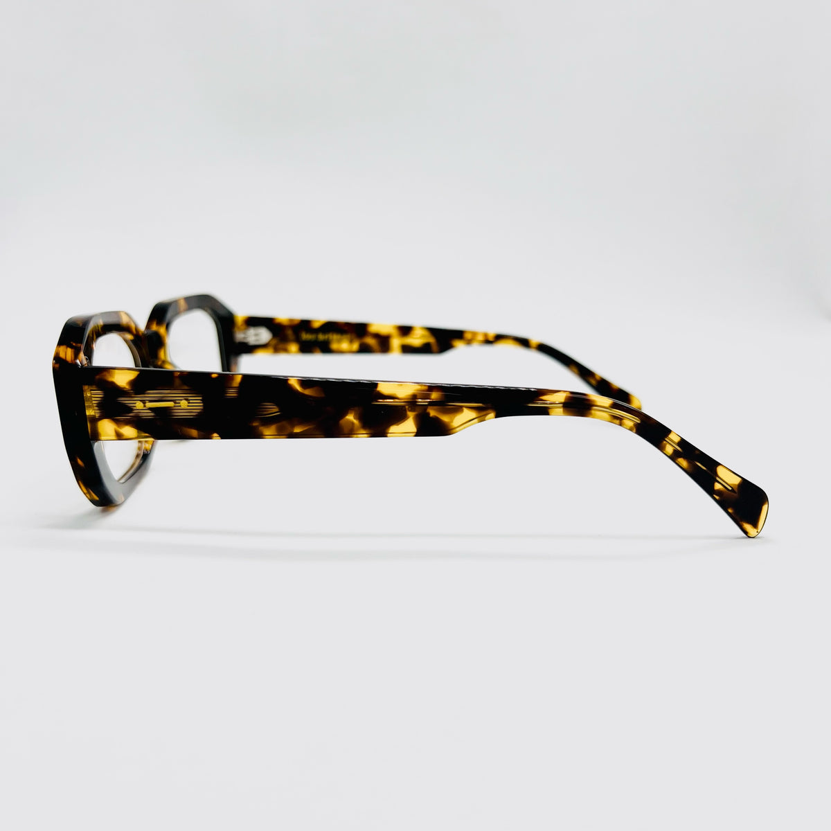 19 (leopardo-montura)