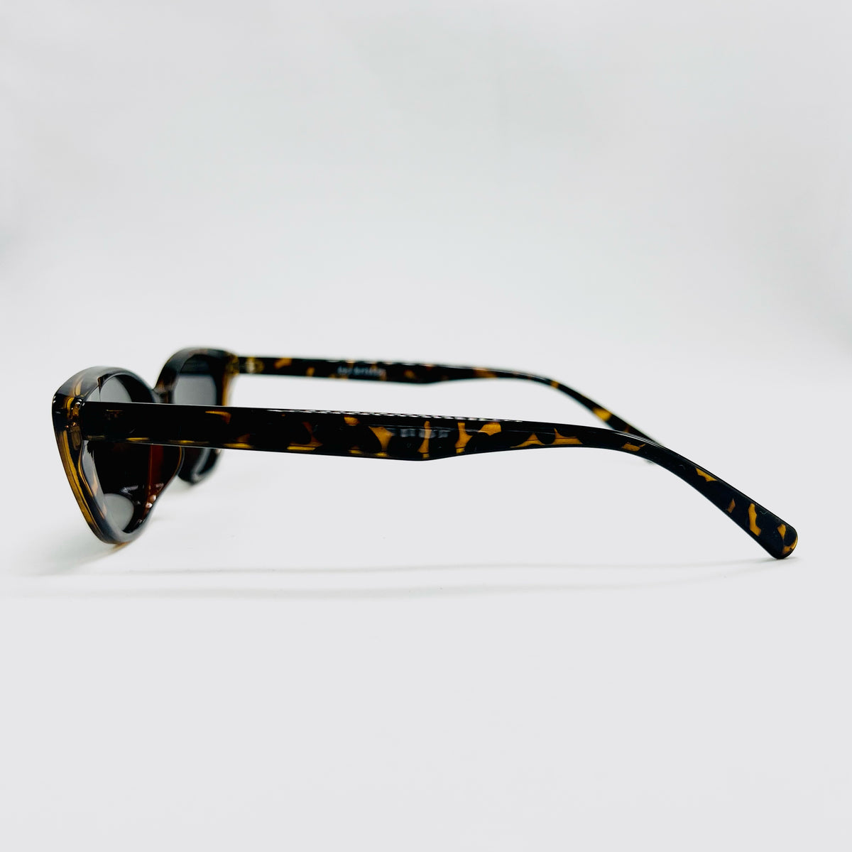 Souvenir (Leopardo)