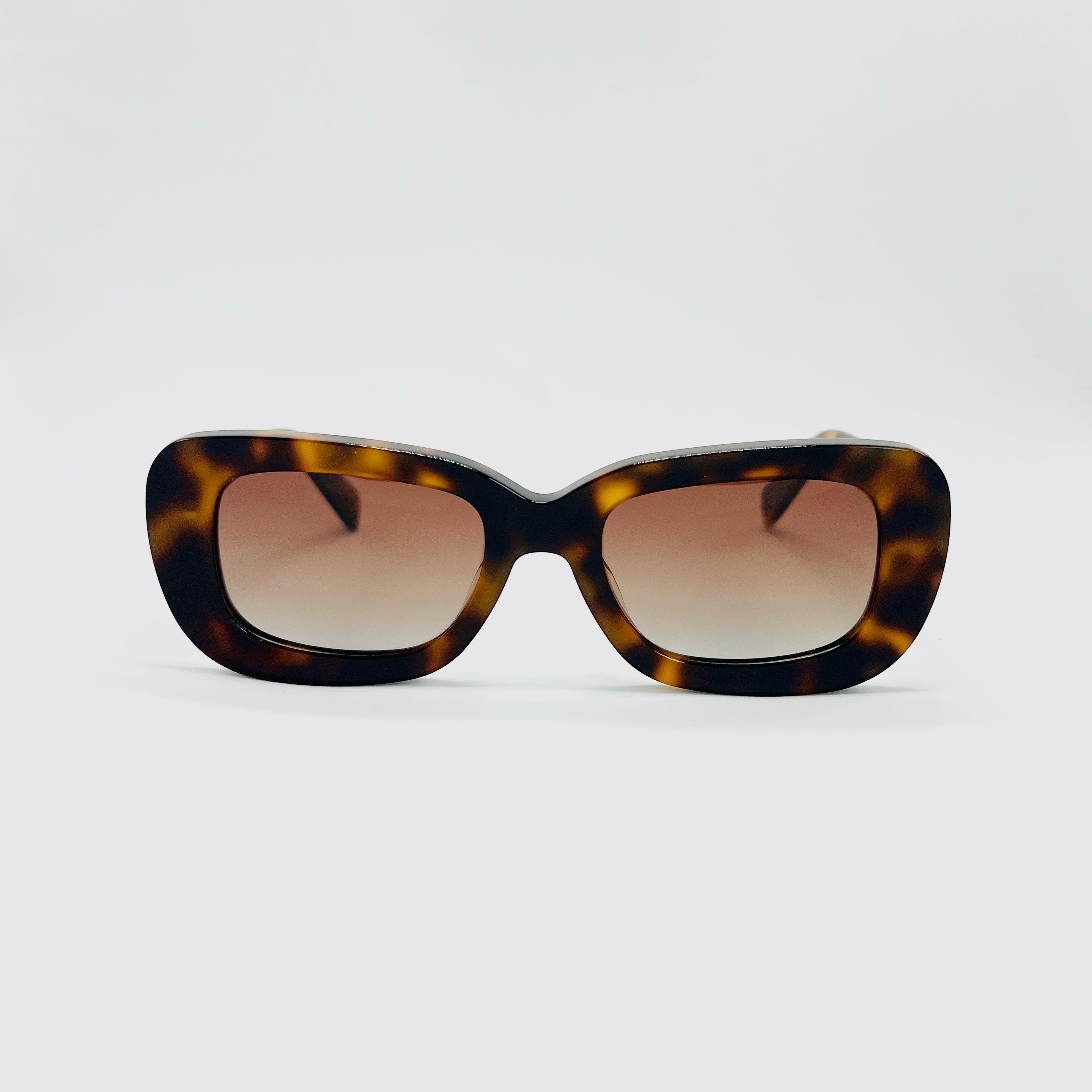 Vagabundo (Leopardo)