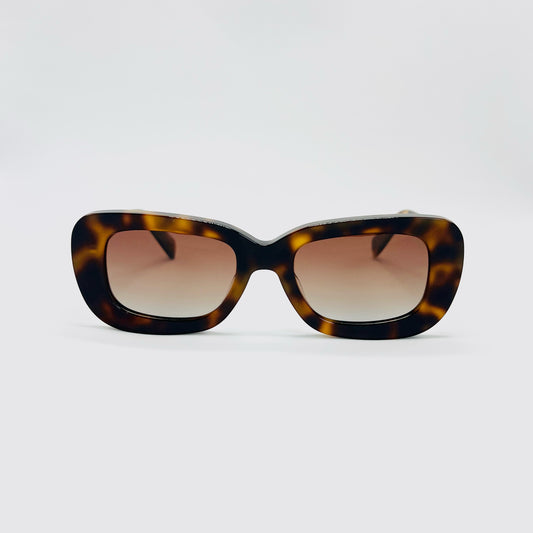 Vagabundo (Leopardo)